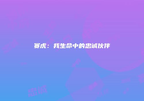 赛虎：我生命中的忠诚伙伴