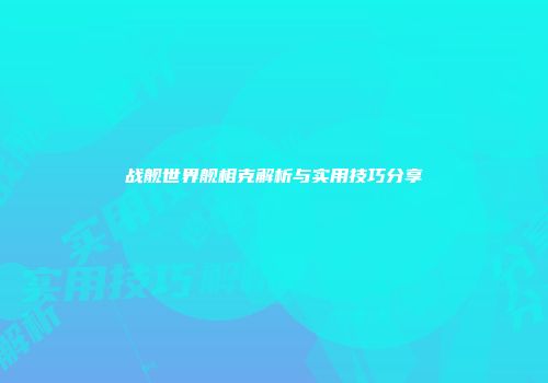战舰世界舰相克解析与实用技巧分享