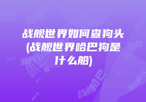 战舰世界如何查狗头(战舰世界哈巴狗是什么船)