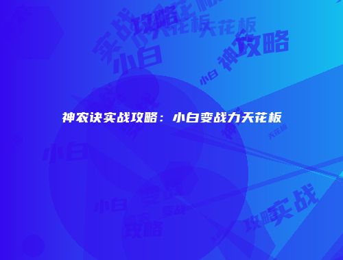 神农诀实战攻略：小白变战力天花板