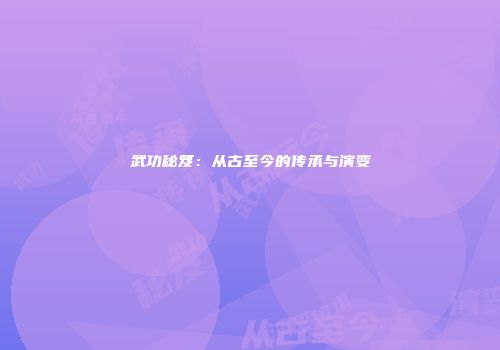 武功秘笈：从古至今的传承与演变