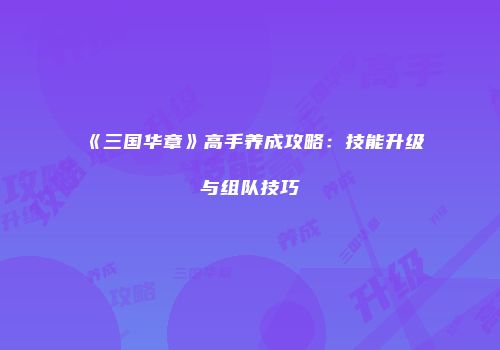 《三国华章》高手养成攻略：技能升级与组队技巧