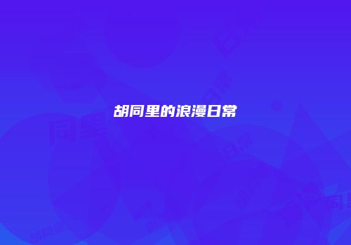 胡同里的浪漫日常