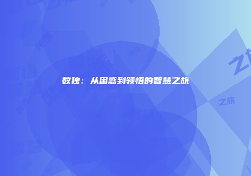 数独：从困惑到领悟的智慧之旅