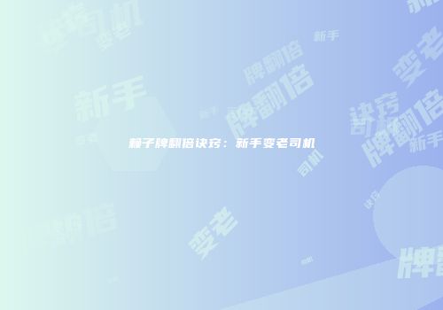 赖子牌翻倍诀窍：新手变老司机