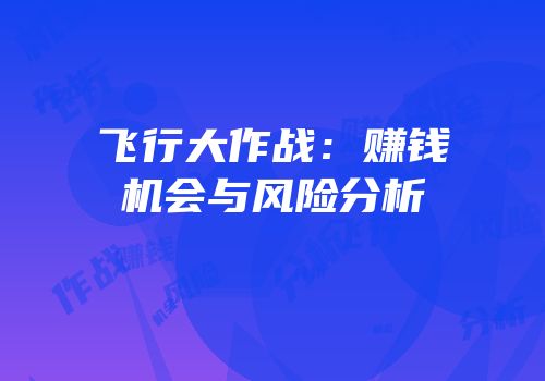 飞行大作战：赚钱机会与风险分析