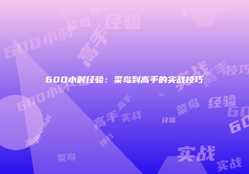 600小时经验：菜鸟到高手的实战技巧
