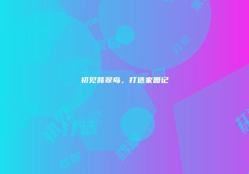 初见翡翠岛，打造家园记
