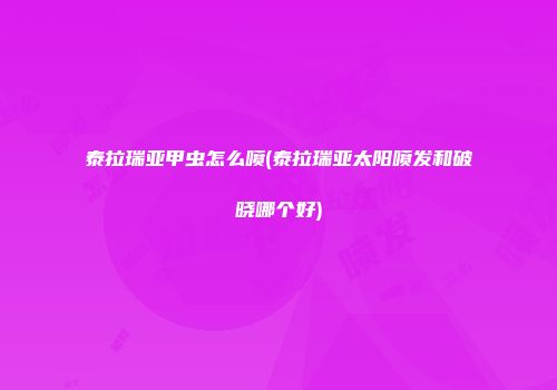 泰拉瑞亚甲虫怎么喷(泰拉瑞亚太阳喷发和破晓哪个好)