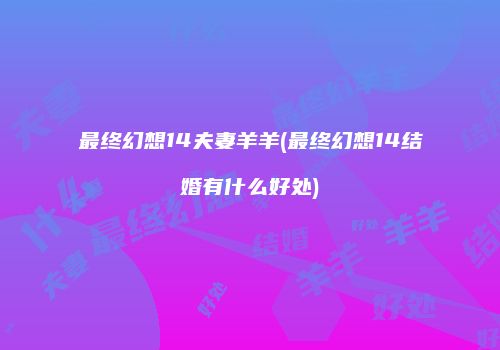 最终幻想14夫妻羊羊(最终幻想14结婚有什么好处)