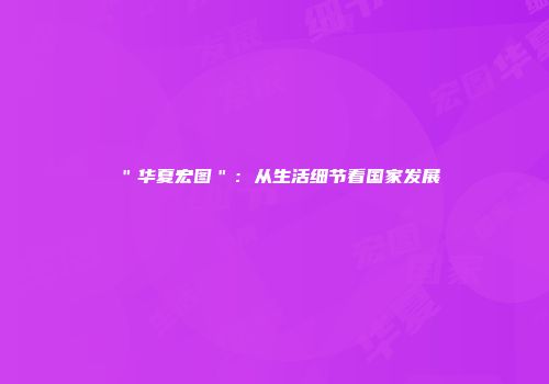 ＂华夏宏图＂：从生活细节看国家发展
