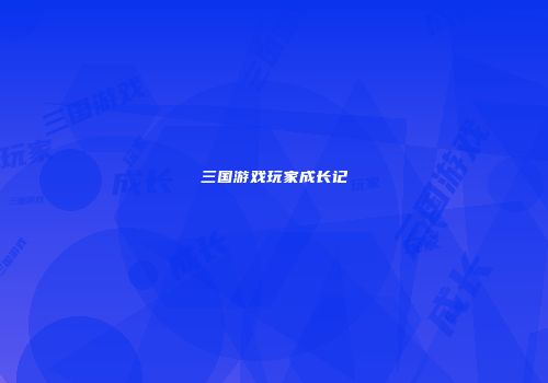 三国游戏玩家成长记