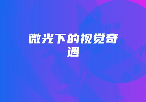 微光下的视觉奇遇