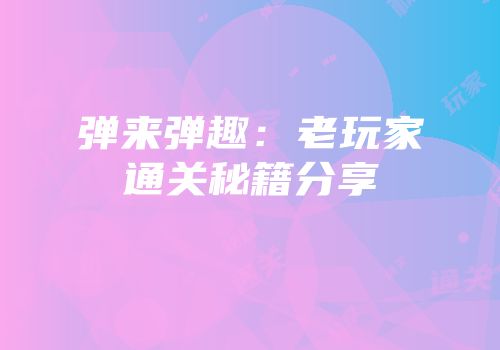 弹来弹趣：老玩家通关秘籍分享