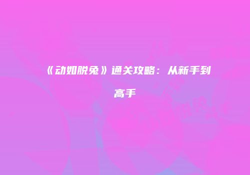 《动如脱兔》通关攻略：从新手到高手