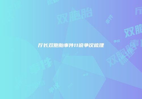 厅长双胞胎事件11说争议梳理