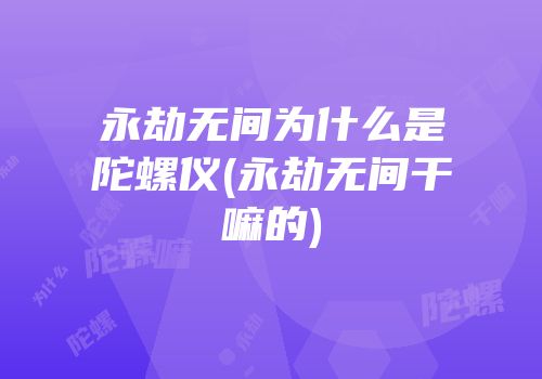 永劫无间为什么是陀螺仪(永劫无间干嘛的)
