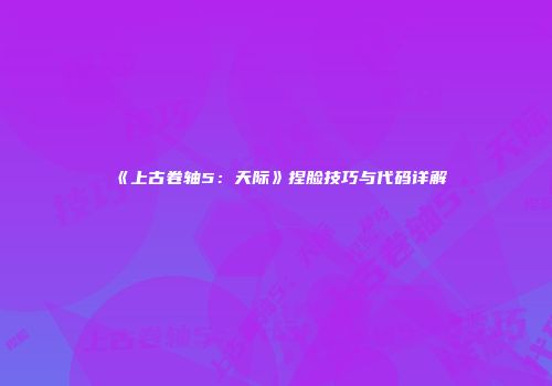 《上古卷轴5：天际》捏脸技巧与代码详解
