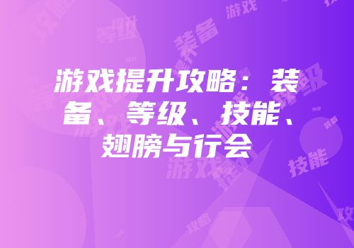 游戏提升攻略：装备、等级、技能、翅膀与行会