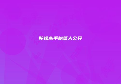 陀螺高手秘籍大公开