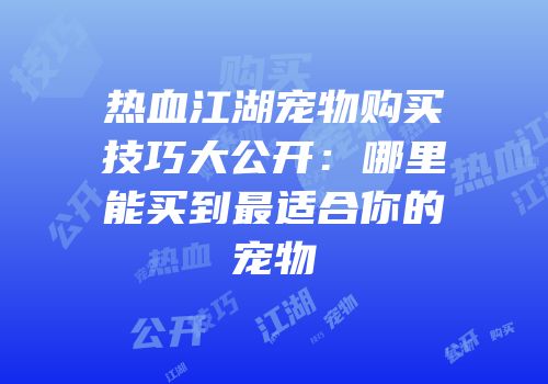 热血江湖宠物购买技巧大公开:哪里能买到最适合你的宠物