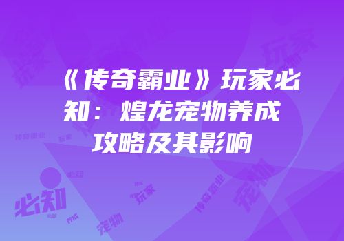 《传奇霸业》玩家必知：煌龙宠物养成攻略及其影响