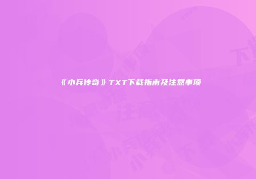 《小兵传奇》TXT下载指南及注意事项