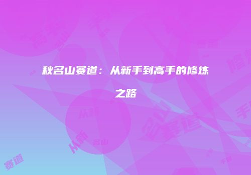秋名山赛道：从新手到高手的修炼之路