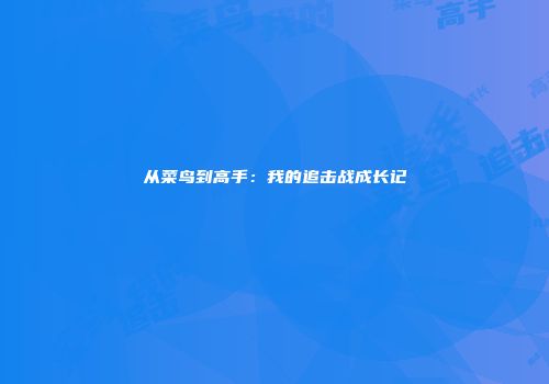 从菜鸟到高手：我的追击战成长记