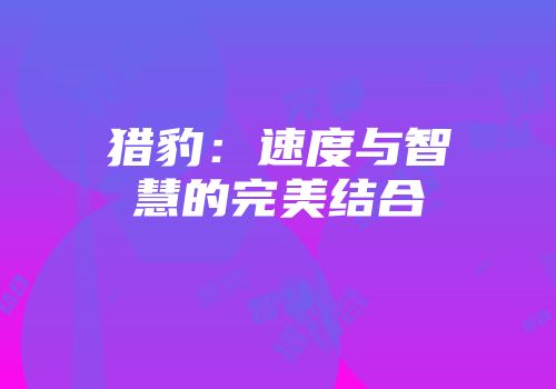 猎豹：速度与智慧的完美结合