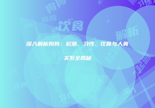 深入解析狗狗：起源、习性、饮食与人类关系全揭秘