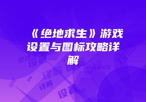 《绝地求生》游戏设置与图标攻略详解