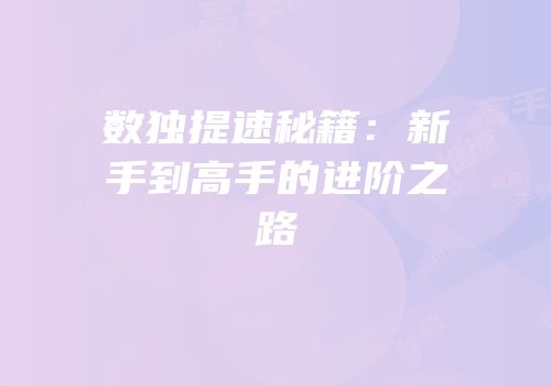 数独提速秘籍：新手到高手的进阶之路