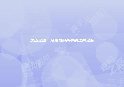 反击之道：从菜鸟到高手的进阶之路