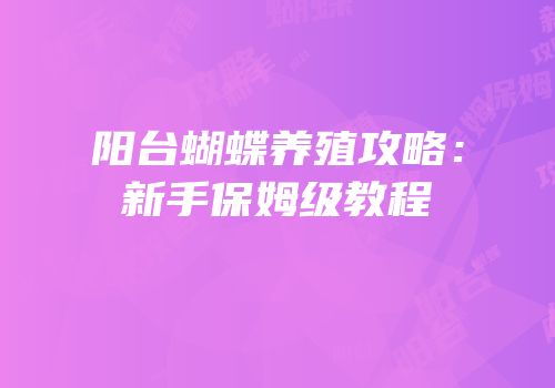 阳台蝴蝶养殖攻略：新手保姆级教程