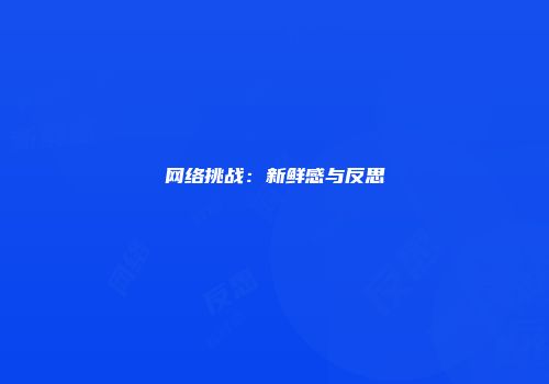 网络挑战：新鲜感与反思