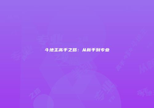 斗地主高手之路：从新手到专业