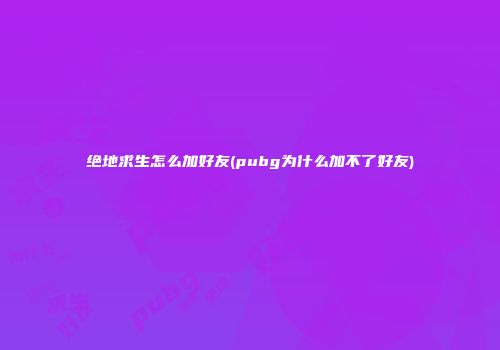 绝地求生怎么加好友(pubg为什么加不了好友)