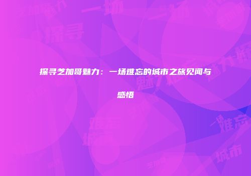 探寻芝加哥魅力：一场难忘的城市之旅见闻与感悟