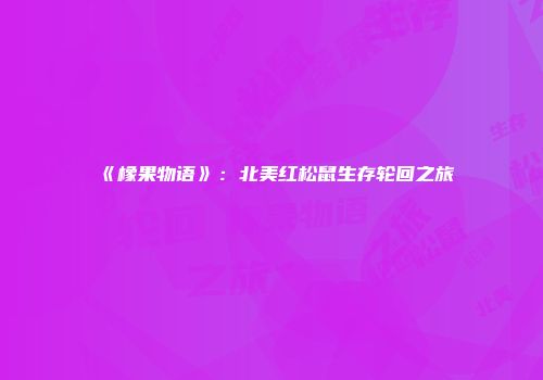 《橡果物语》：北美红松鼠生存轮回之旅