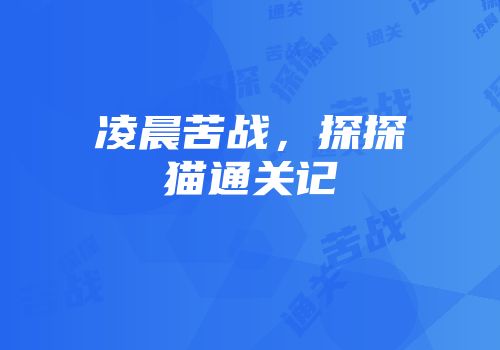 凌晨苦战，探探猫通关记