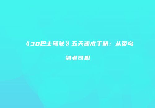 《3D巴士驾驶》五天速成手册：从菜鸟到老司机