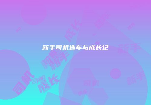 新手司机选车与成长记