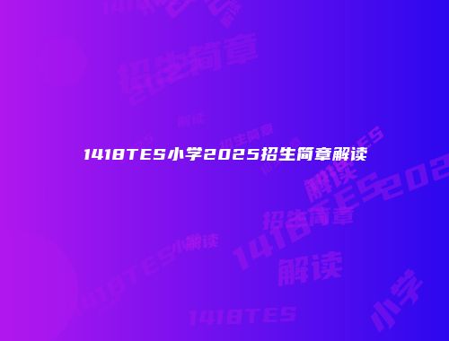 1418TES小学2025招生简章解读