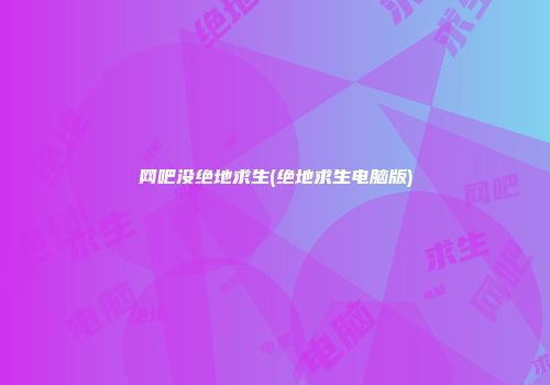 网吧没绝地求生(绝地求生电脑版)