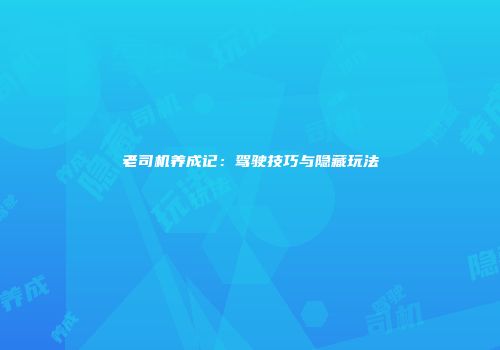 老司机养成记：驾驶技巧与隐藏玩法