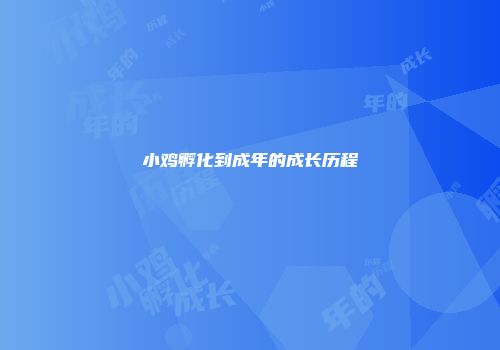 小鸡孵化到成年的成长历程