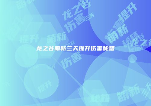 龙之谷萌新三天提升伤害秘籍
