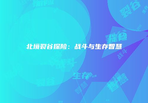 北境裂谷探险：战斗与生存智慧