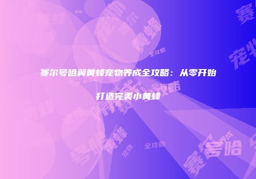 赛尔号哈翼黄蜂宠物养成全攻略：从零开始打造完美小黄蜂
